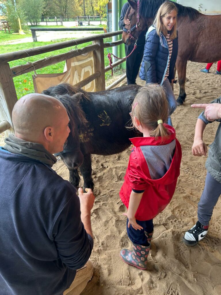 img 20251025 wa0007[1]