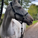 1b776642 8142 4766 9aab 696d86d13f0a