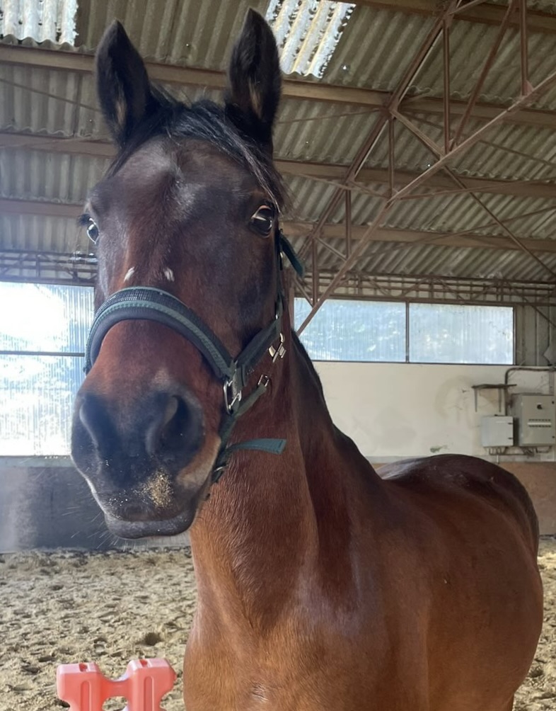 71d875ab 6223 4ef4 8427 b531c6b035ea