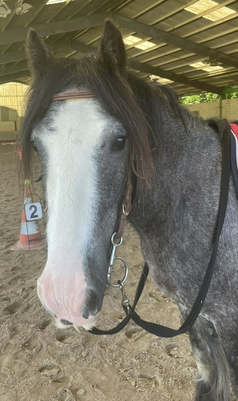 823b75aa fd29 45c1 9fc9 77118e16c7e6